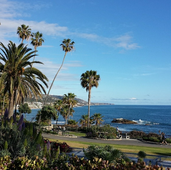 Meet your Posher, Toia - Picture 1 of 1